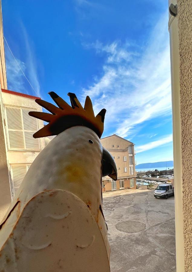 Studio Apartment Marina Mel Novi Vinodolski Dış mekan fotoğraf